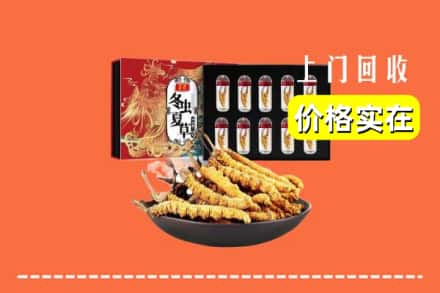 理县回收冬虫夏草